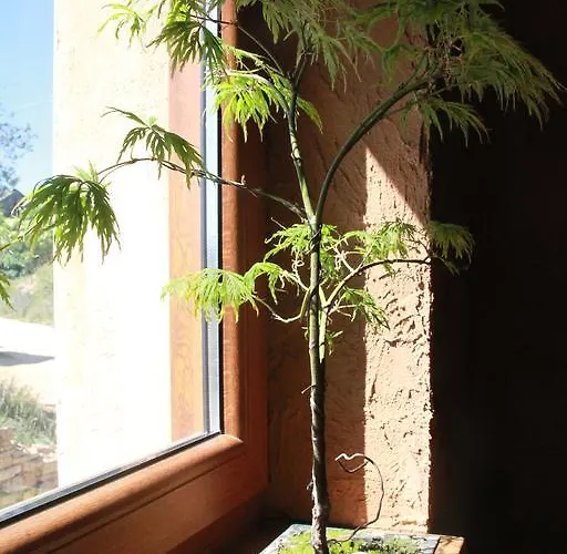 El Trasgu De 3* フォンセバドン