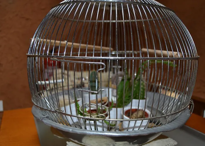 Gæstehus El Trasgu De Foncebadon